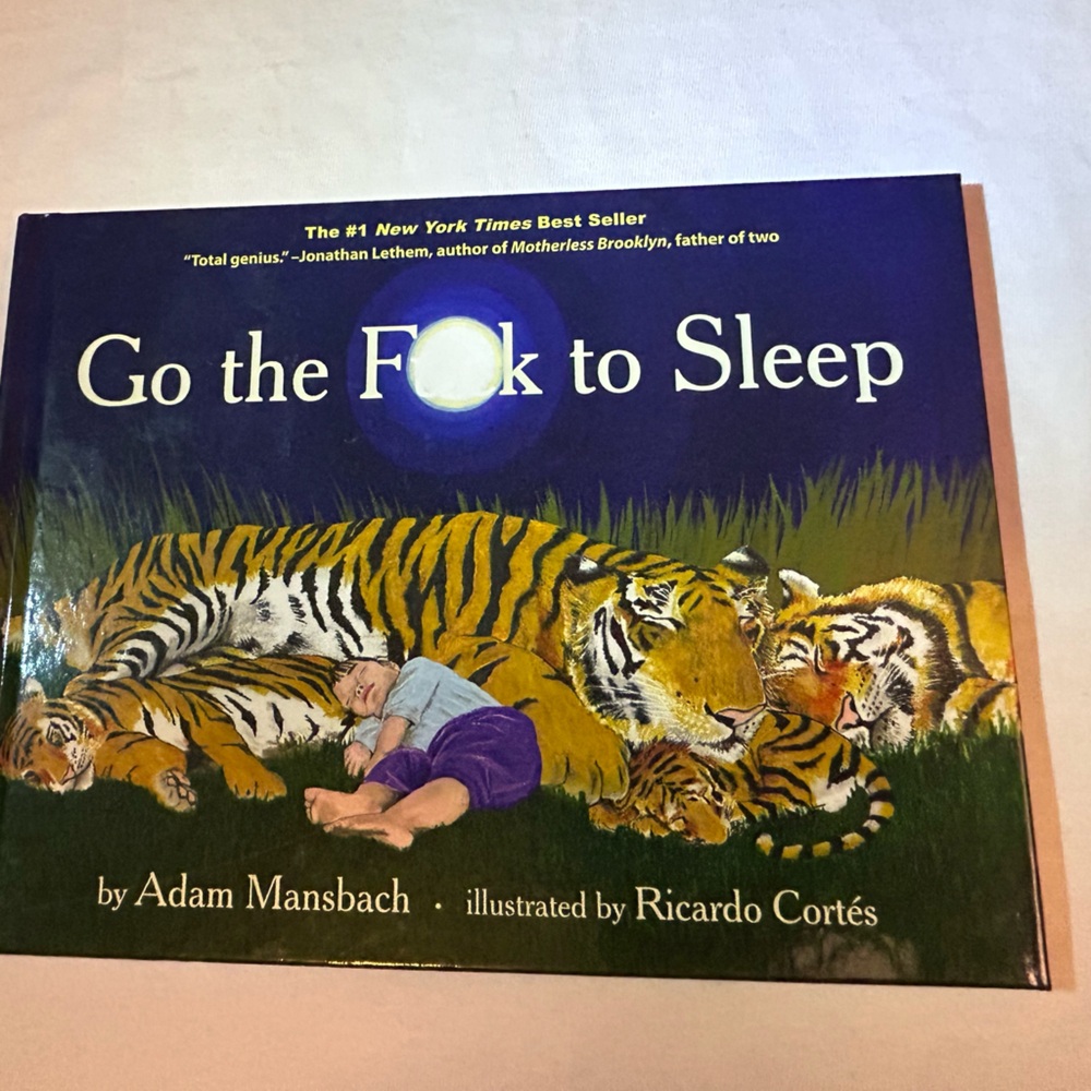Go The Fu*k To Sleep Kids Book 2011